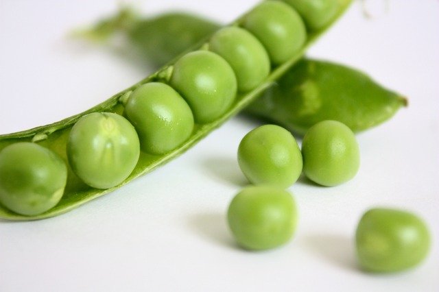 beans image1